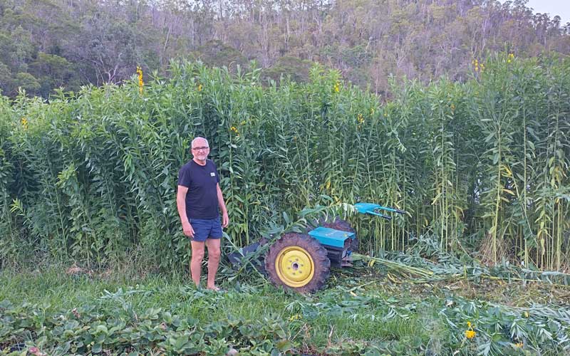 Australian Made Cyber Clydesdale: Electric 2-Wheel Tractor