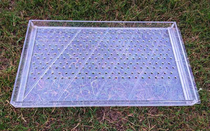 Microgreens Starter Kit