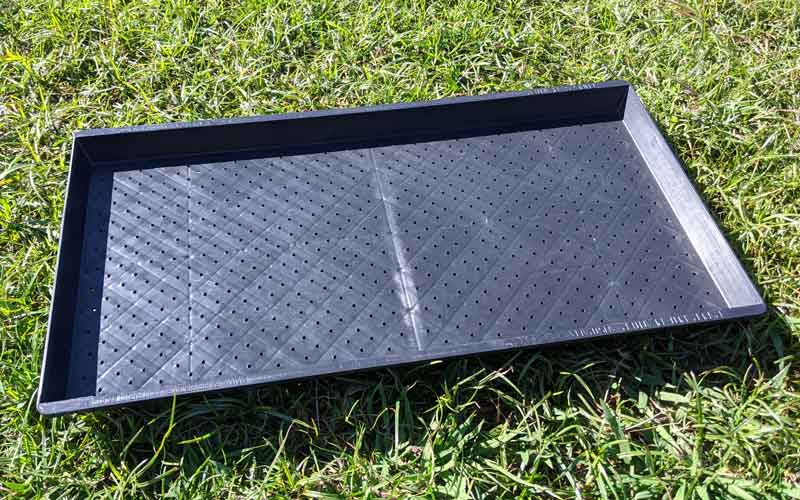 Microgreens Starter Kit