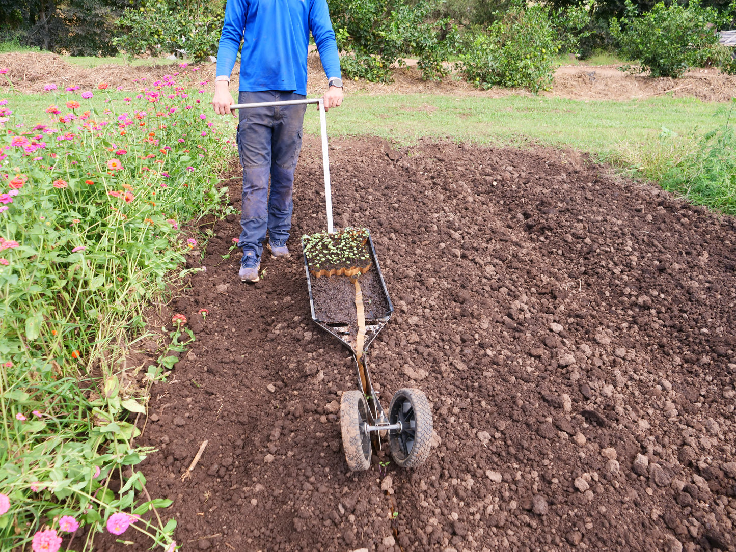PAPER POT TRANSPLANTER CP-1 PRO AUSTRALIAN MADE