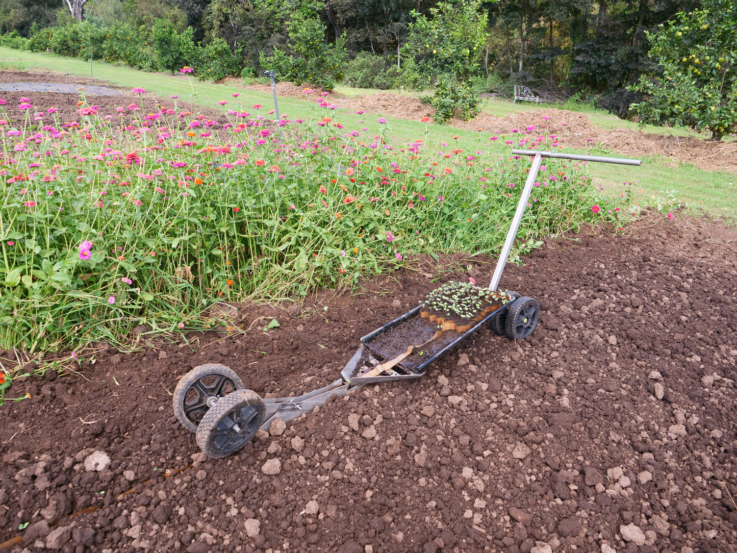 PAPER POT TRANSPLANTER CP-1 PRO AUSTRALIAN MADE
