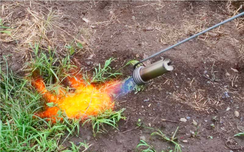 Weed Wand PRO: Most Powerful Australian Made Weed Torch Burner FREE Shipping