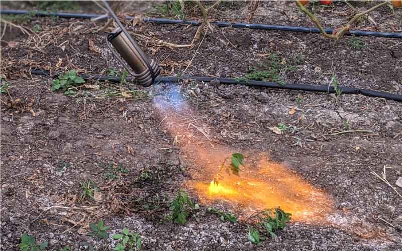 Weed Wand PRO: Most Powerful Australian Made Weed Torch Burner FREE Shipping