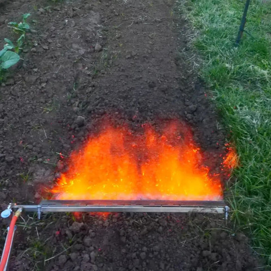 Summer flame weeding to clear fire hazards along a driveway