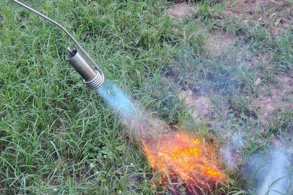 Flame weeder treating broadleaf weeds in pasture at ground level