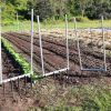 Curly’s Cracker, Broad Fork, Garden Fork, Harvest Fork