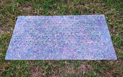 Blank microgreen seeder plate for custom seed sizes