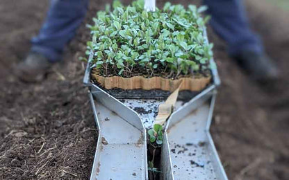 Reusable open ended seedling trays, Australian made