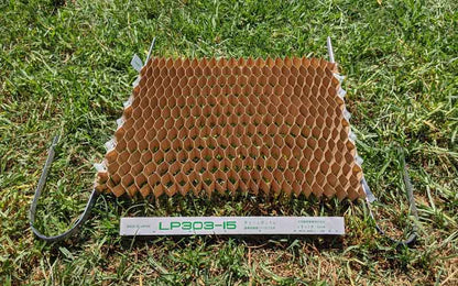 Paper chain pot 15cm spacing for larger seedlings