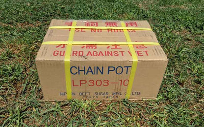 Paper chain pots at 10cm spacing for salad and brassica crops