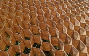 5cm paper chain pot chain for onions and salad crops